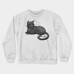 Cat - American Shorthair - Black Crewneck Sweatshirt